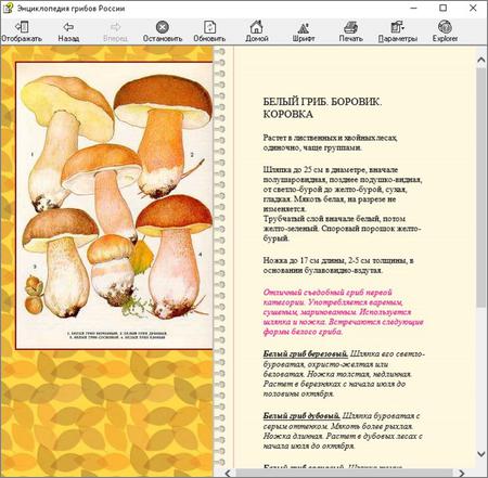 Энциклопедия Грибов С Фотографиями Полная Версия